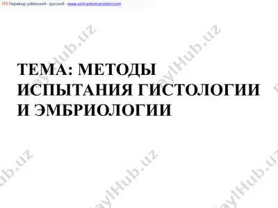 светмикроскоп — PPTX