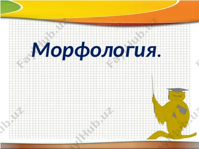 morfologiya — PPTX