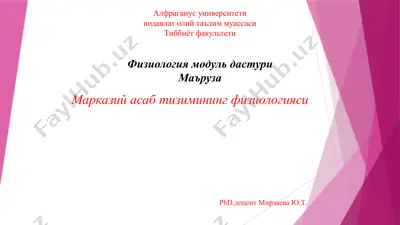 марказий асаб тизимининг физиологияси — PPTX
