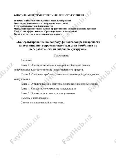 консультация по финансовой реализуемости инвестиционного проекта — DOC