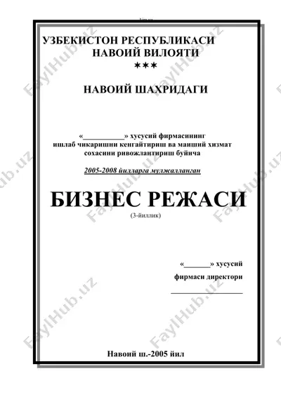 biznes rejasining 3-yillik dasturi — DOC