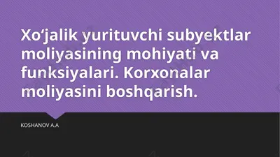 xo‘jalik yurituvchi subyektlar moliyasi — PPTX