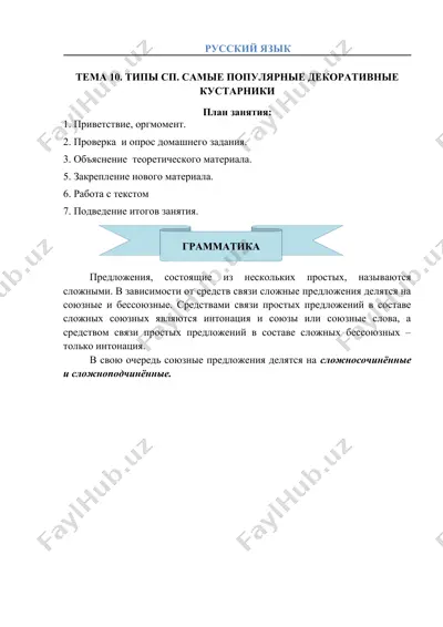 типы сп. самые популярные декоративные кустарники — DOCX