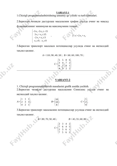 chiziqli programmalashtirishning umumiy qo’yilishi va turli formalari — DOCX