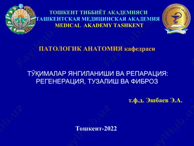 тошкент тиббиёт академияситашкентская медицинская академияmedical akademy tashkent — PPT