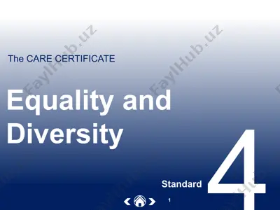 equality and diversity standard — PPT