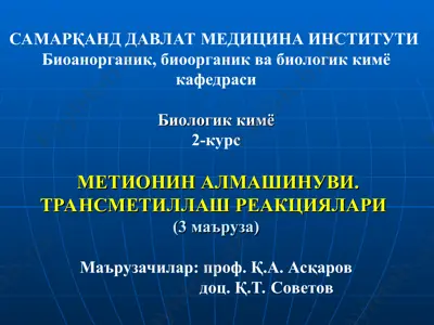 metionin almaxinuvi — PPT