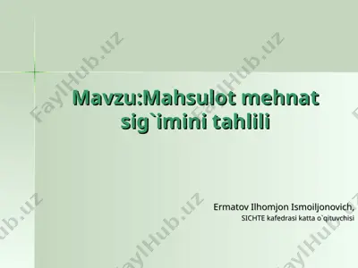 mehnat sig`imini tahlili — PPT