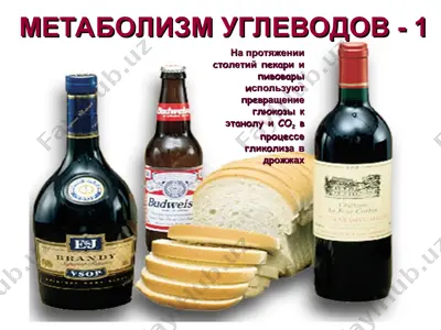 metabolizm uglevodov — PPT