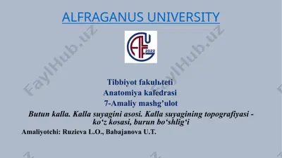 kallasuyagi topografiyasi va burunbo‘shlig‘i bilan bog‘liq amaliy mashg‘ulotlar — PPTX