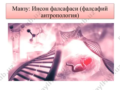 инсонфалсафаси (фалсафий антропология) — PPTX