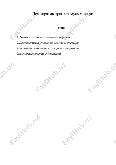 демократик транзит муаммолари — DOCX
