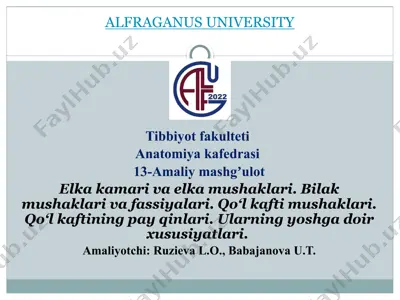 elkakamari va elkamushaklari — PPTX