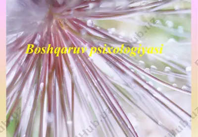 boshqaruv psixologiyasi — PPTX