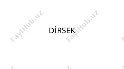 dirsek — PPTX
