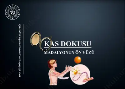 kas dokusu madalyonun ön yüzü — PPTX