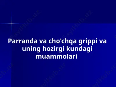 parranda va cho'chqa grippi va uning hozirgi kundagi muammolari — PPTX