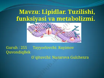 lipidlar — PPTX