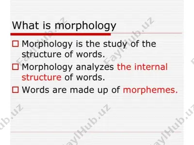 morphology — PPTX