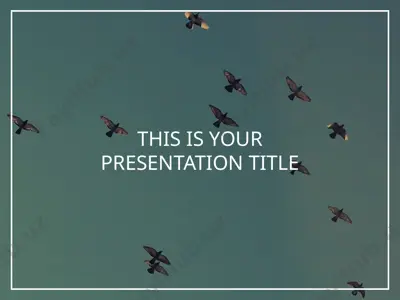 presentation software instructions — PPTX