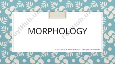 morphology — PPTX
