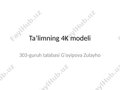 4k modeli — PPTX