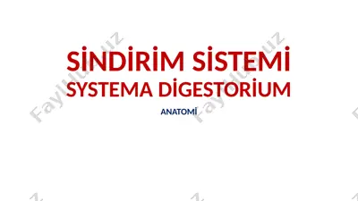 sindirim sistemi anatomiyasi kitobi — PPTX