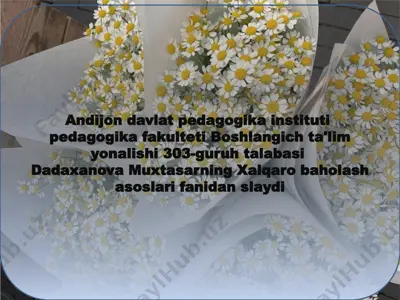 talis xalqaro baholash dasturi — PPTX