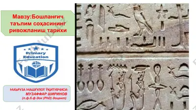 bo‘shlanchich ta'lim sohasining rivojlanish tarixi — PPTX