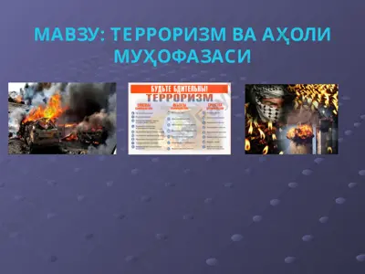 терроризм ва аҳоли муҳофазаси — PPT