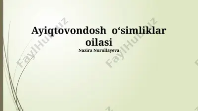 ayiqtovondosh oʻsimliklar oilasi — PPTX
