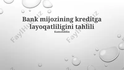 bank mijozining kreditga layoqatliligini tahlili — PPTX
