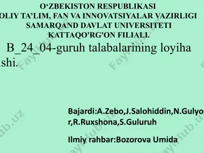 o‘simliklardagi barglarga umumiy tasnif loyiha ishi — PPTX