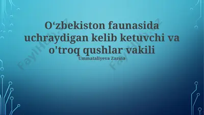 oʻzbekiston faunasida uchraydigan kelib ketuvchi va o'troq qushlar vakili — PPTX