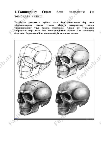 bo‘sh chanog‘ini chizish — PDF