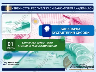 buxgalteriya hisobi tashkil qilish va yuritilishining tartibga solishi — PDF