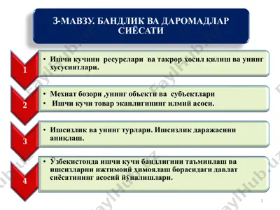 bandlik va daromadlar siyosati — PDF