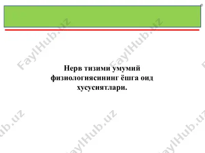nerv tizimi umumiy fiziologiyasi — PDF