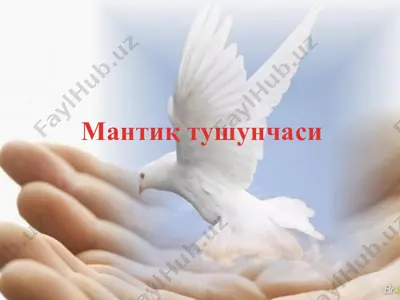mantiq tushunchasi — PPTX