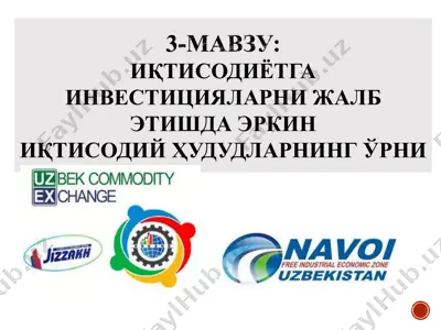 иқтисодиётга инвестицияларни жалб этишда эркин иқтисодий ҳудудларнинг ўрни — PDF