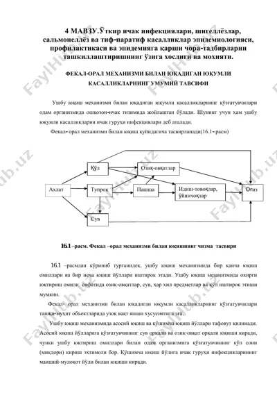 ўткир ичак инфекциялари, шигеллёзлар, сальмонеллёз ва тиф-паратиф касалликлар эпидемиологияси, профилактикаси ва эпидемияга қарши чора-тадбирларни ташкиллаштиришнинг ўзига хослиги ва мохияти — PDF