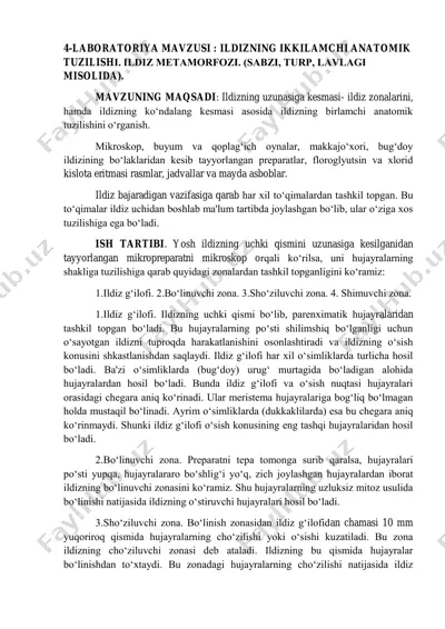 laboratoriya mavzusi: ildizning ikkilamchi anatomik tuzilishi — PDF