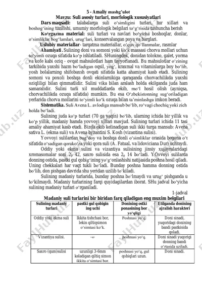 suli — PDF