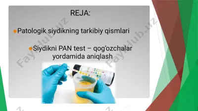 epatologik siydikning tarkibiy gismlari — PPTX