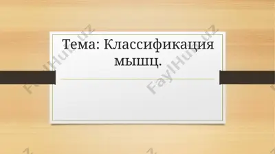 myushtsiz orqanlar — PPTX