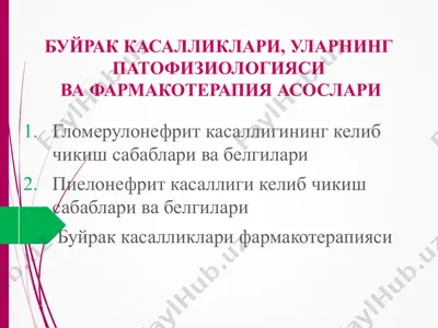 буйрак касалликлари, уларнинг патофизиологиясива фармакотерапия асослари — PPT