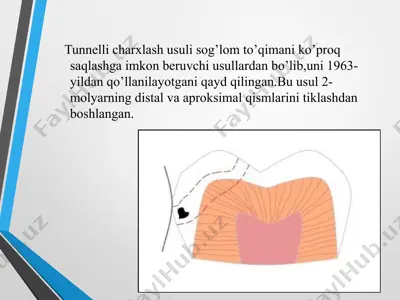 tunnellicharxlash usuli — PPTX