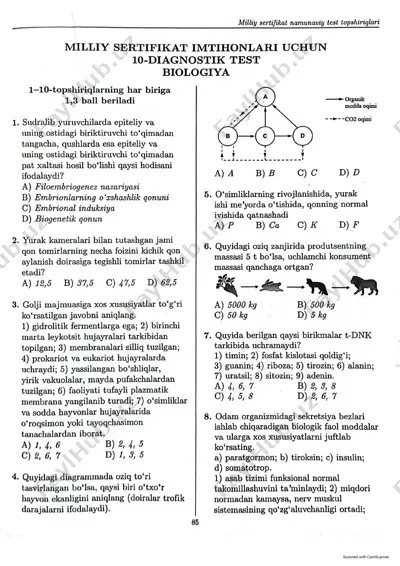 milly sertifikat namunaviy test topshiriglari — PDF