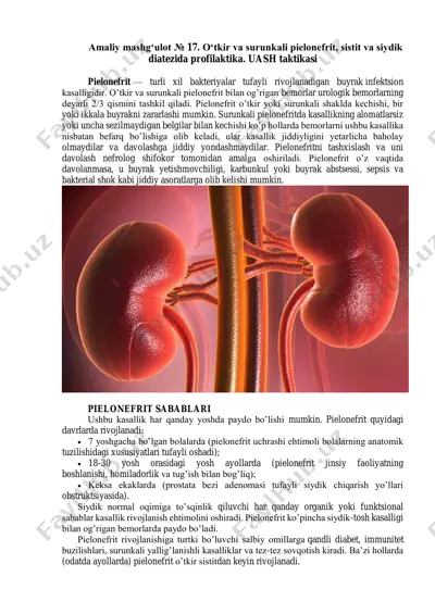 amaliy mashg‘ulot № 17. o‘tkir va surunkali pielonefrit, sistit va siydik diatezida profilaktika. uash taktikasi — PDF