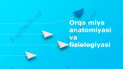 orqa miya anatomiyasi va fiziologiyasi — PPTX
